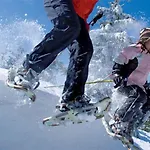 Lafairs Pfunds